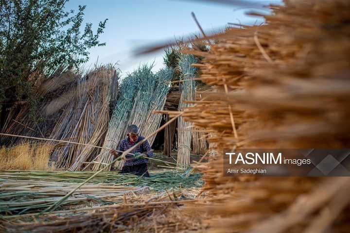 بازماندگان هنر کهن بوریابافی- زرقان فارس