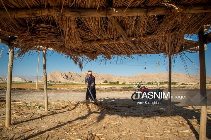 بازماندگان هنر کهن بوریابافی- زرقان فارس