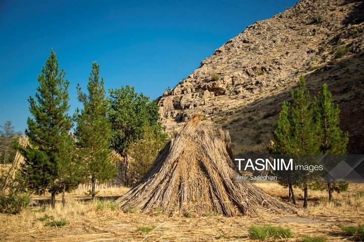 بازماندگان هنر کهن بوریابافی- زرقان فارس