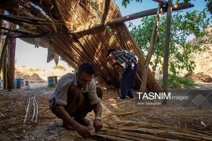 بازماندگان هنر کهن بوریابافی- زرقان فارس