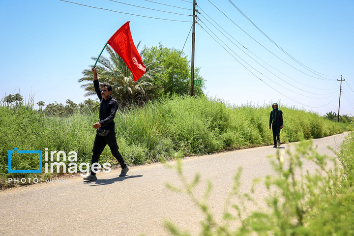 پیاده روی در مسیر نخلستان های عراق