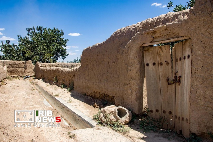 جشن برداشت انگور در ترشیز؛ از تاکستان‌های خلیل‌آباد تا بازارهای جهانی