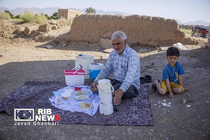جشن برداشت انگور در ترشیز؛ از تاکستان‌های خلیل‌آباد تا بازارهای جهانی