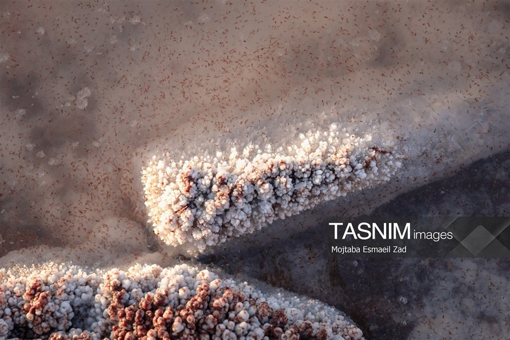 مسافران تابستانی دریاچه ارومیه