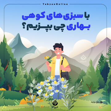 با سبزی‌های کوهی بهاری چی بپزیم؟