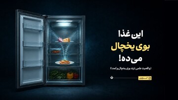 آیا زنان بوها را متفاوت از مردان حس می‌کنند؟