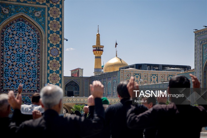 ث؛ مثل ثامن‌الائمه