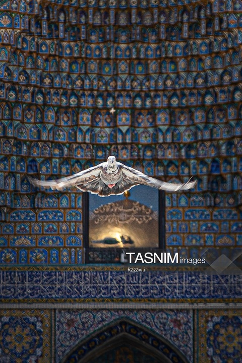 ث؛ مثل ثامن‌الائمه