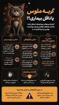 گربه ملوس یا ناقل بیماری؟!
