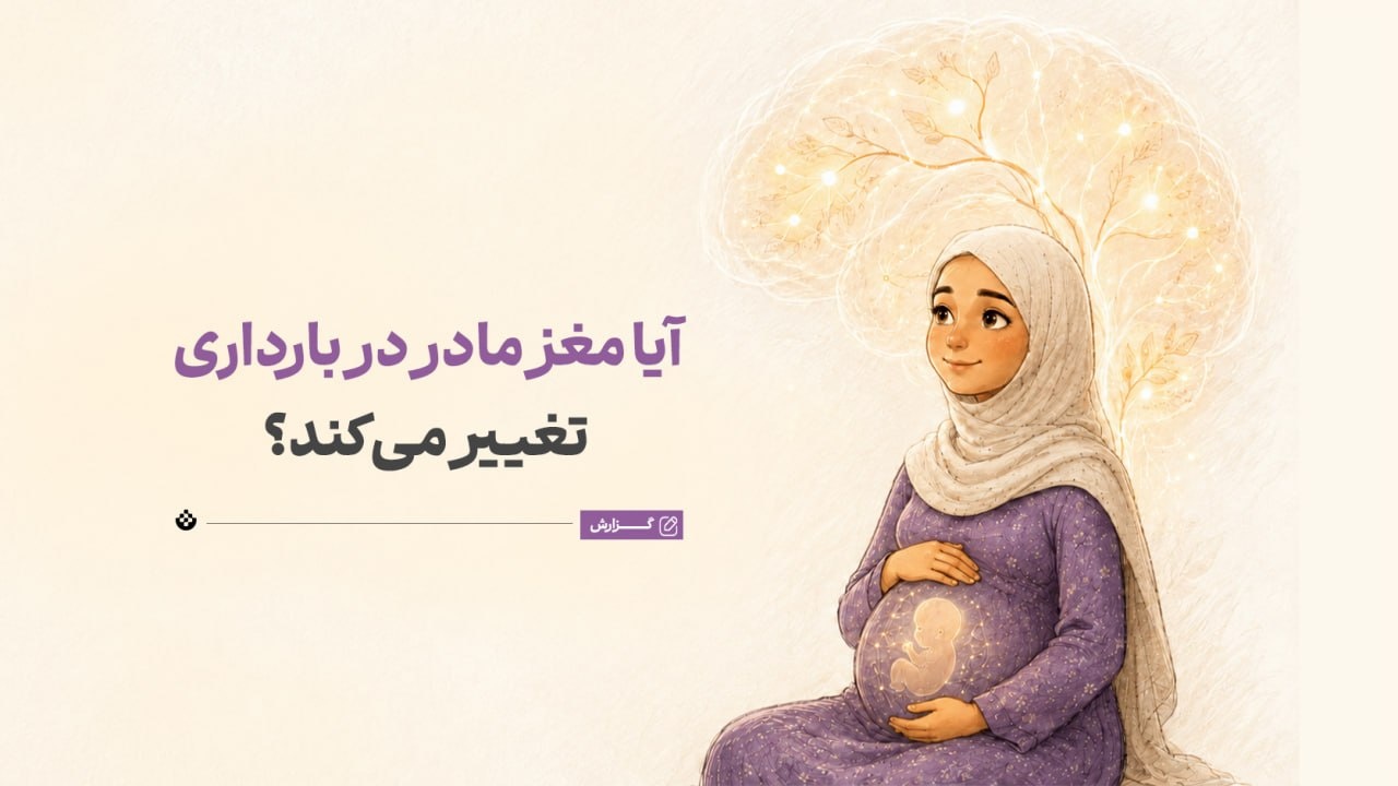 آیا مغز مادر در بارداری تغییر می‌کند؟
