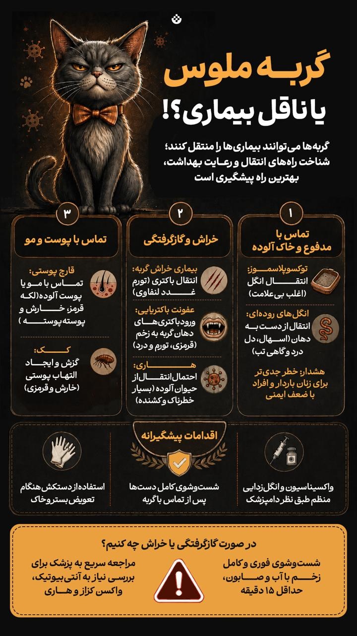 گربه ملوس یا ناقل بیماری؟!