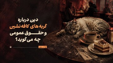 گربه‌های کافه‌نشین و حقوق عمومی؛ دین چه می‌گوید؟