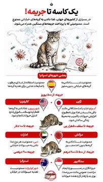 یک کاسه تا جریمه!