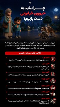 چرا نباید به حیوون خیابونی دست بزنیم؟
