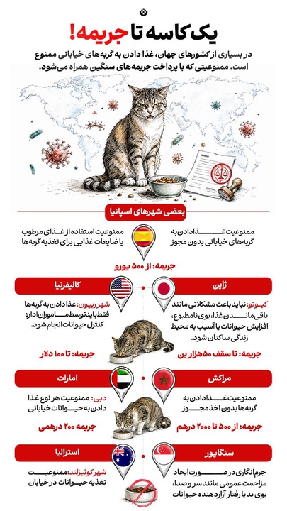 یک کاسه تا جریمه!