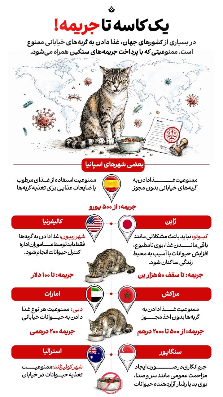 یک کاسه تا جریمه!