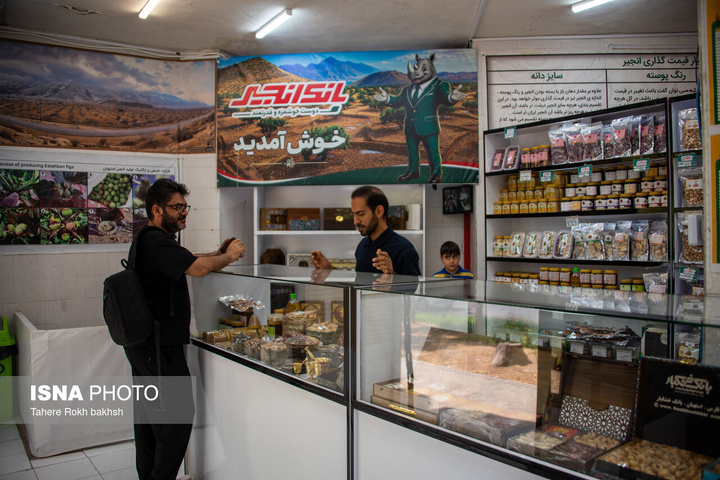 بزرگترین انجیرستان دیم جهان - استهبان