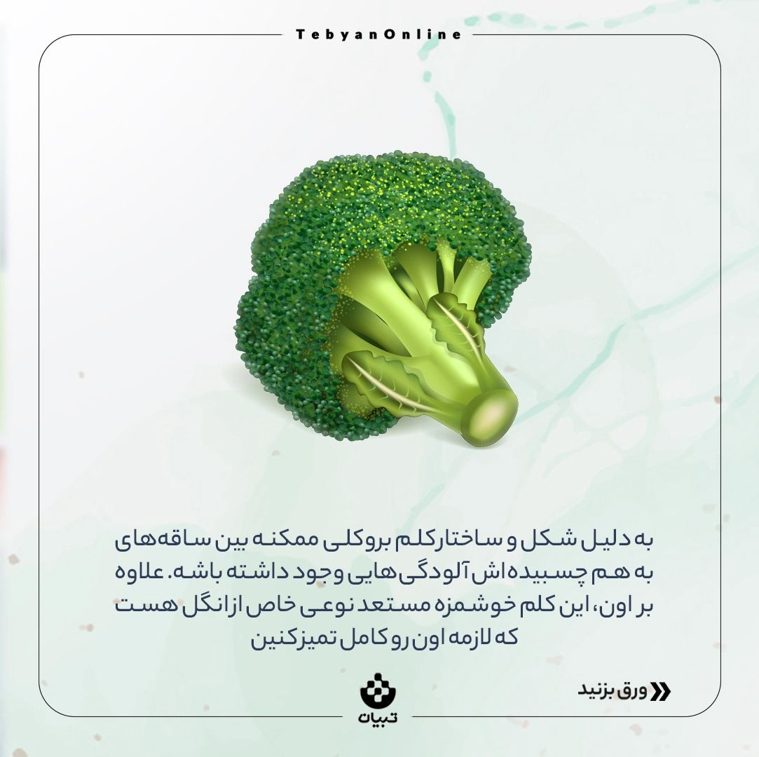 کلم بروکلی رو چطور بشوریم؟