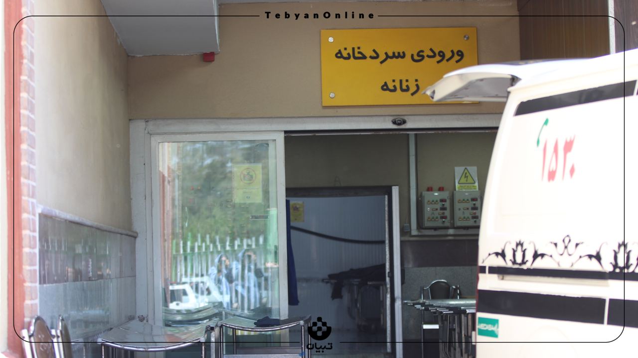 یک روز در شهرک اموات