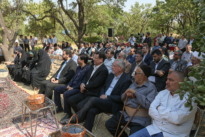 جشن پسته‌چینی در قزوین