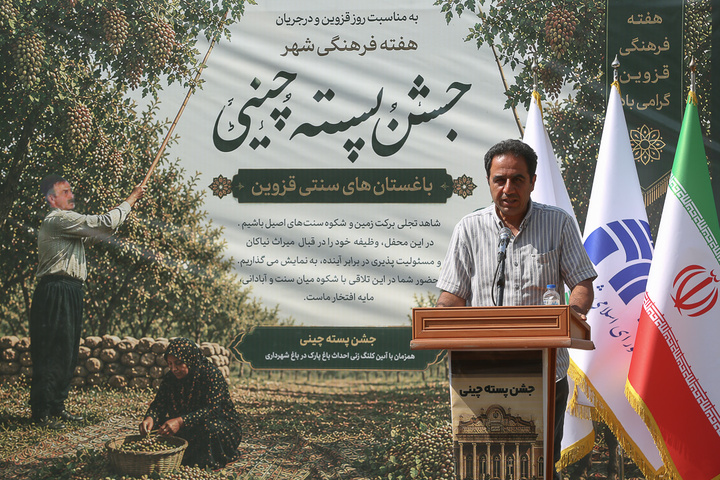 جشن پسته‌چینی در قزوین
