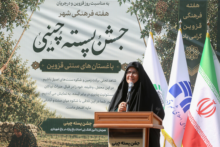 جشن پسته‌چینی در قزوین