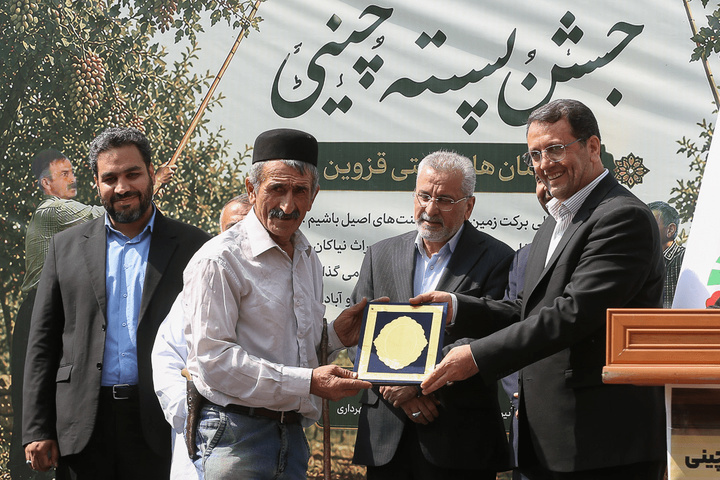 جشن پسته‌چینی در قزوین