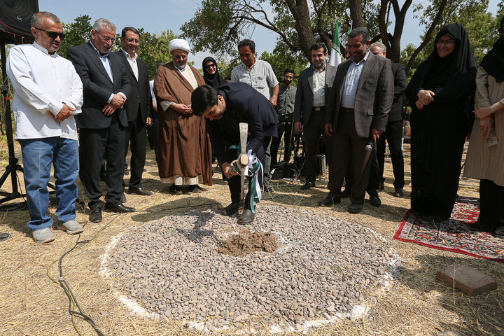 جشن پسته‌چینی در قزوین