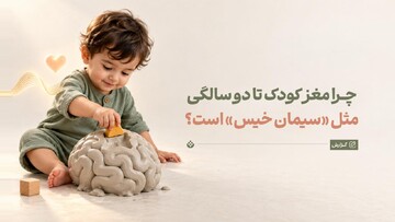 چرا مغز کودک تا دو سالگی مثل «سیمان خیس» است؟