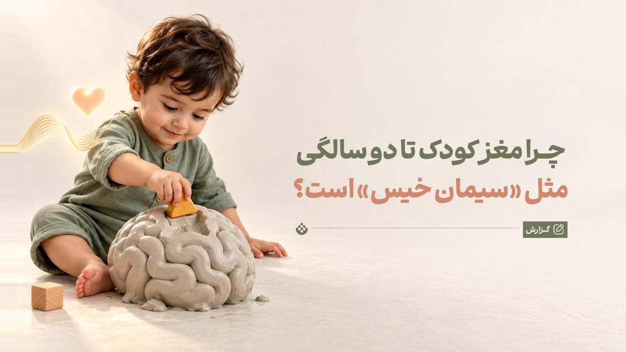 چرا مغز کودک تا دو سالگی مثل «سیمان خیس» است؟