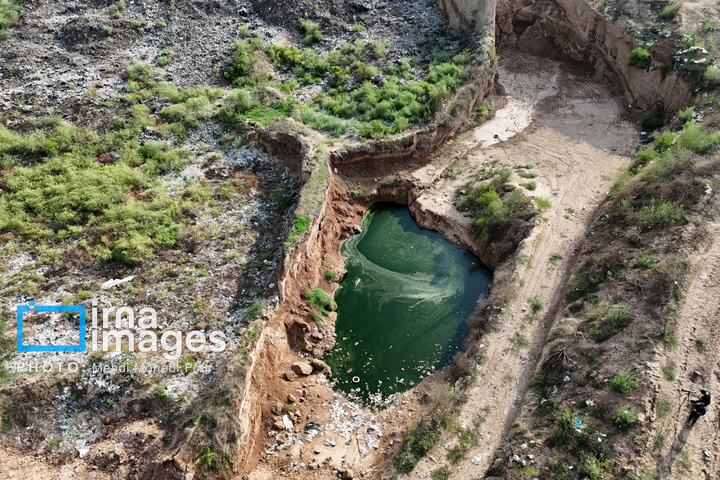 مرگ خاموش جنگل‌های مازندران