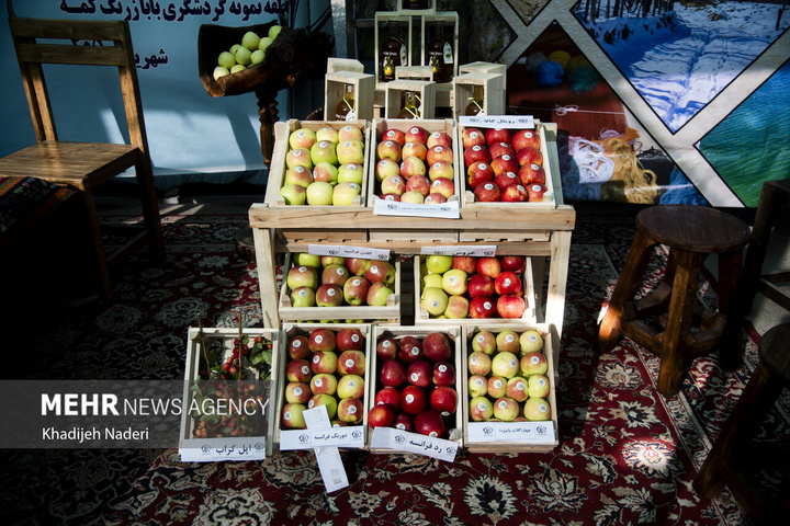 نخستین جشنواره سیب سمیرم اصفهان