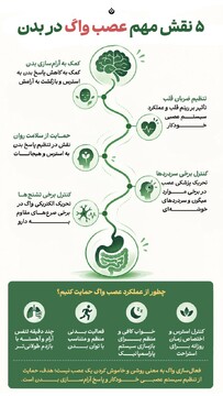 ۵ نقش مهم عصب واگ در بدن