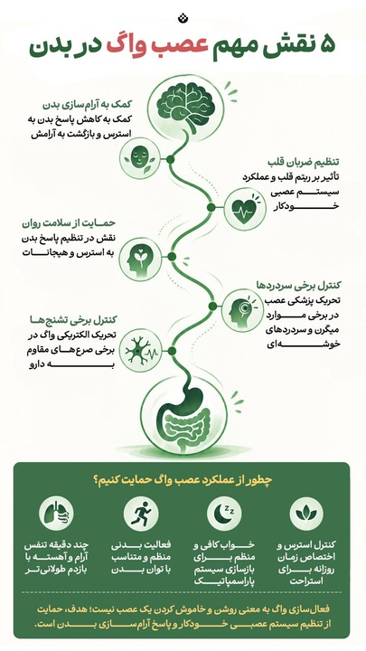 ۵ نقش مهم عصب واگ در بدن