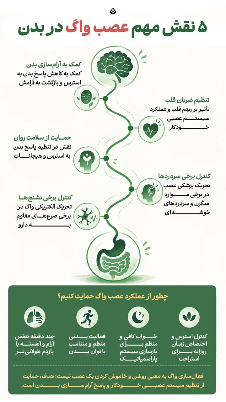 ۵ نقش مهم عصب واگ در بدن