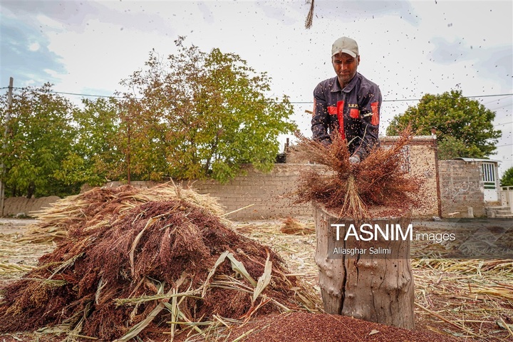 جاروبافی سنتی در روستای ملا حسن - خراسان شمالی