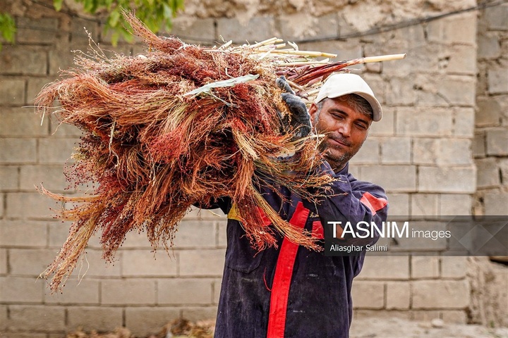 جاروبافی سنتی در روستای ملا حسن - خراسان شمالی