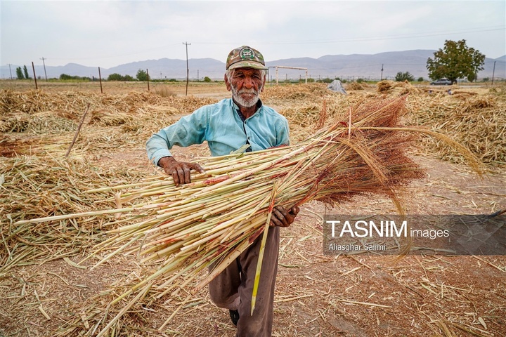 جاروبافی سنتی در روستای ملا حسن - خراسان شمالی