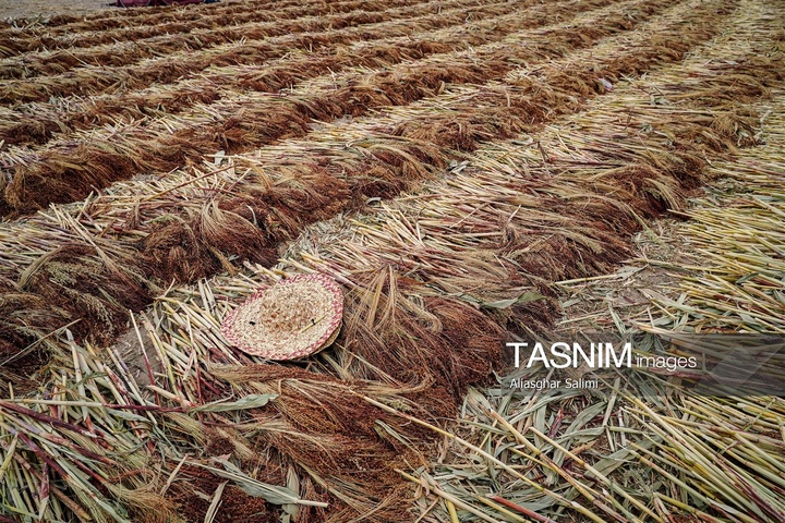 جاروبافی سنتی در روستای ملا حسن - خراسان شمالی