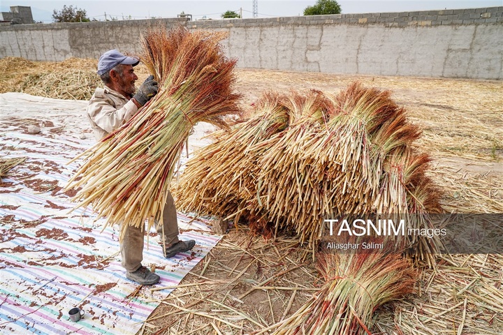جاروبافی سنتی در روستای ملا حسن - خراسان شمالی
