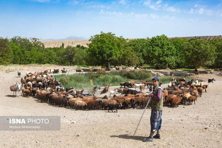 یک سال با اهالی «برزنون»، روستایی در دامنه کوه اردلان