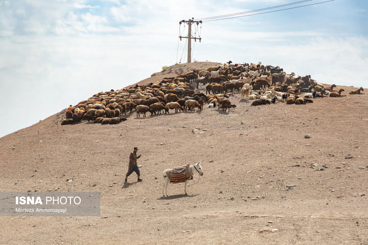 یک سال با اهالی «برزنون»، روستایی در دامنه کوه اردلان