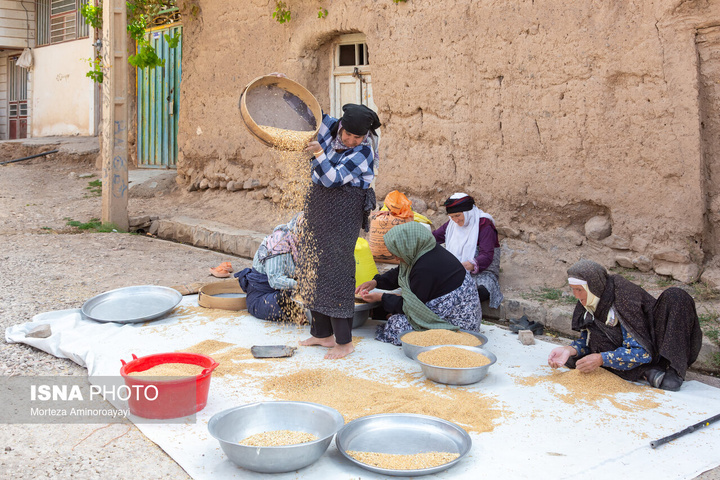 یک سال با اهالی «برزنون»، روستایی در دامنه کوه اردلان