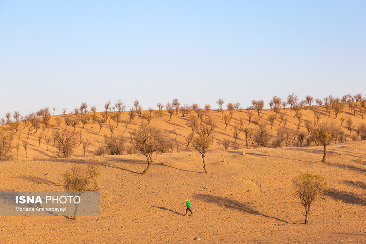یک سال با اهالی «برزنون»، روستایی در دامنه کوه اردلان