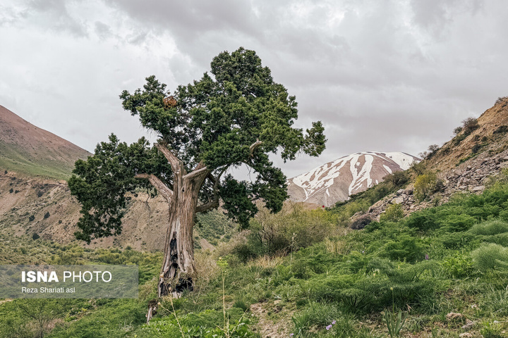 ثبت جهانی «دریاچه گهر»، نگین اشترانکوه