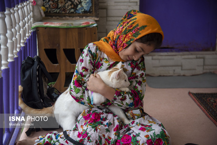 دبستان شهید سلیمانی روستای ازنی؛ مدرسه‌ای با یک دانش آموز