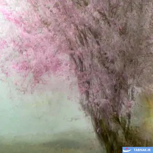 برندگان رقابت عکاسی منظره
