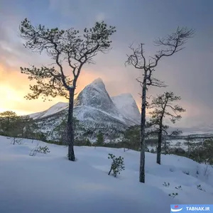 برندگان رقابت عکاسی منظره