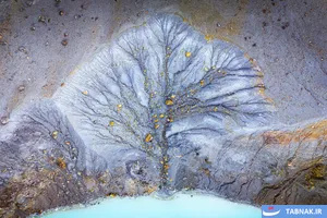 برندگان رقابت عکاسی منظره