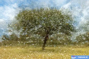 برندگان رقابت عکاسی منظره